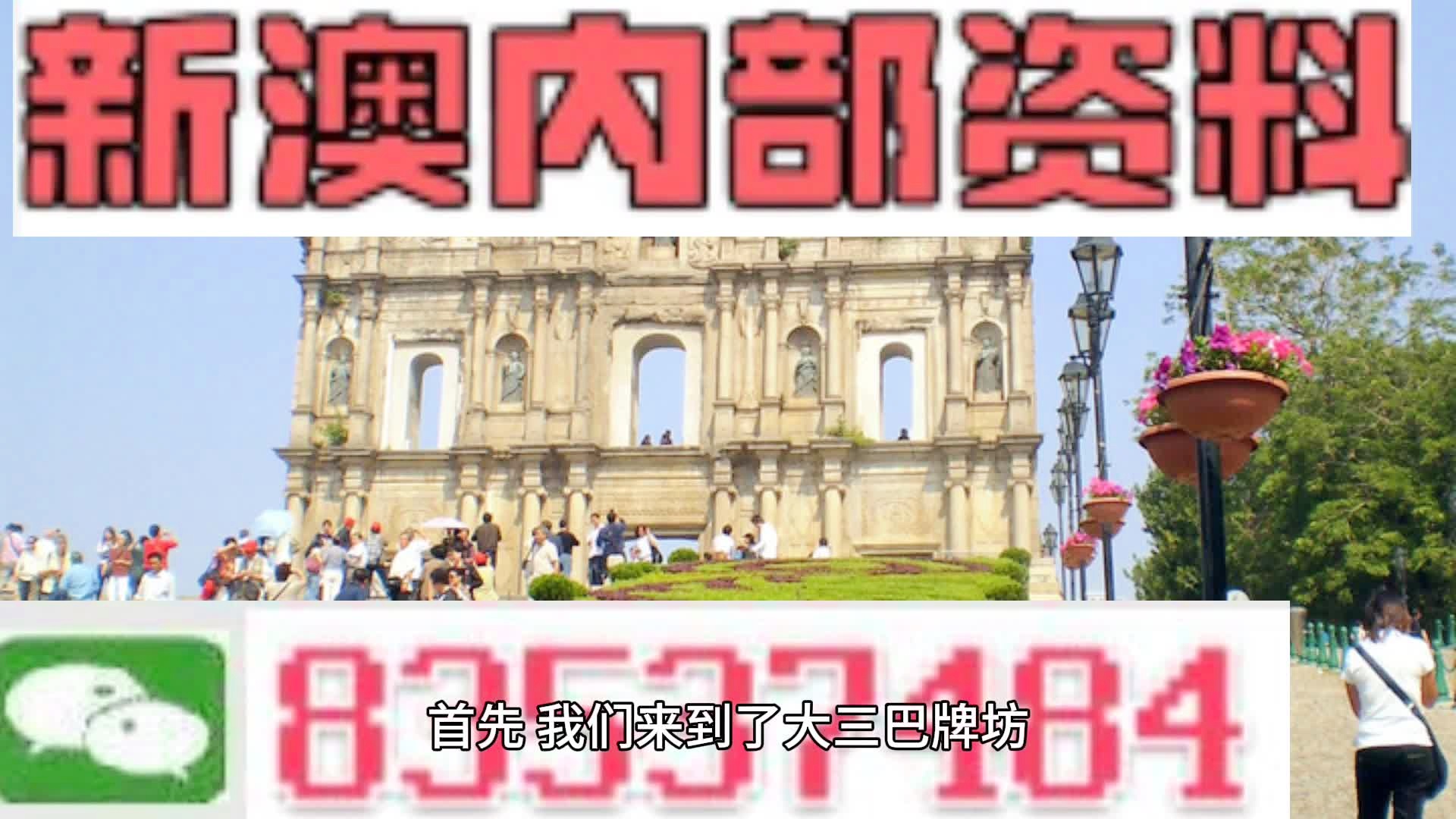 2025新澳正版资料，最新更新与未来展望