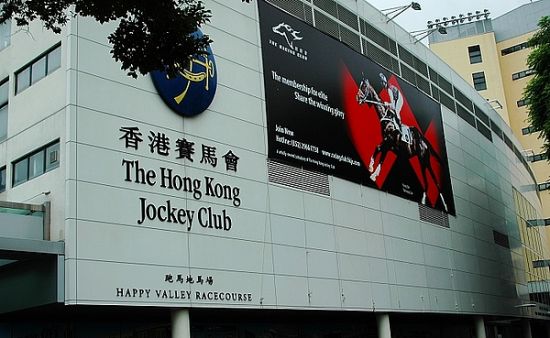 探索香港正版全年马会资料，揭秘赛马文化与投注智慧