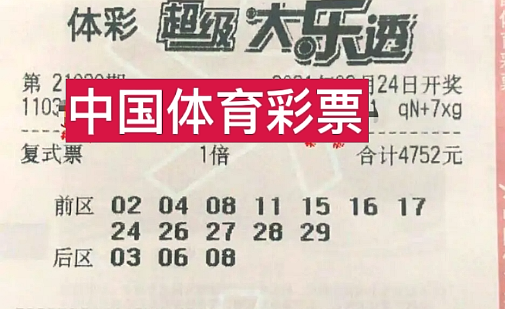 2025年香港今晚开奖结果查询，一场数字与梦想的交汇