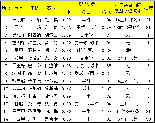 2025澳彩开奖记录查询表，透视未来彩票趋势的窗口