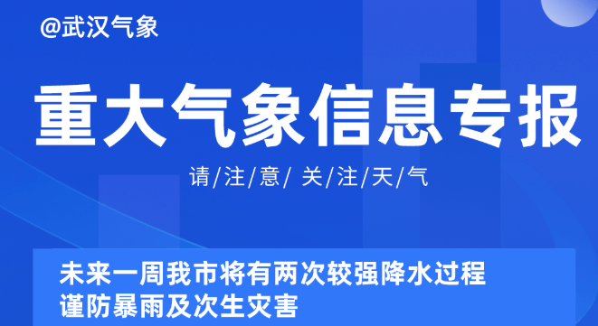 2o24澳彩管家婆资料传真