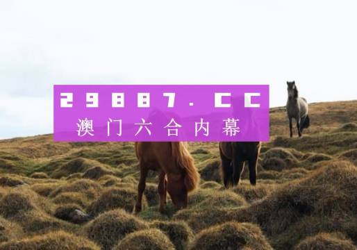 澳门开奖新纪元