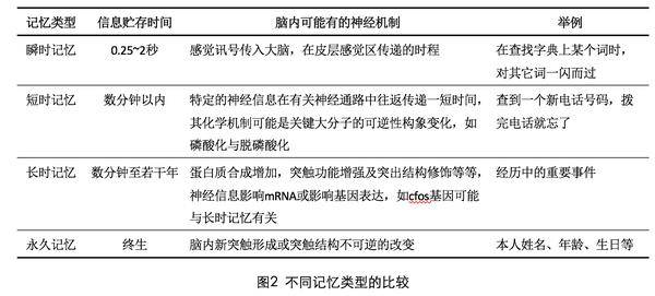 化学添加剂 第219页