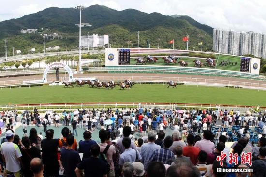 探秘香港马赛，揭秘香港马赛马会最准资料