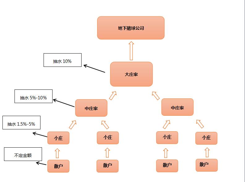 足彩竞彩开奖结果，揭秘背后的数字游戏与投注策略