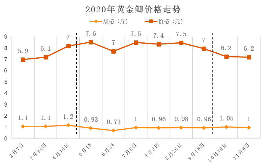 探索未来，专业版三D走势图带连线图解析