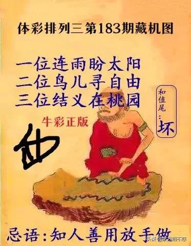 探索智慧之光，三D字谜图谜总汇的奇妙世界