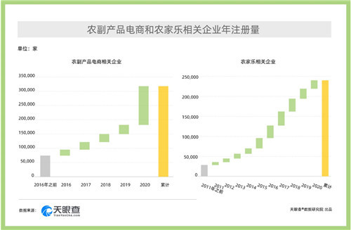 七星彩开奖走势，揭秘数字背后的玄机与智慧