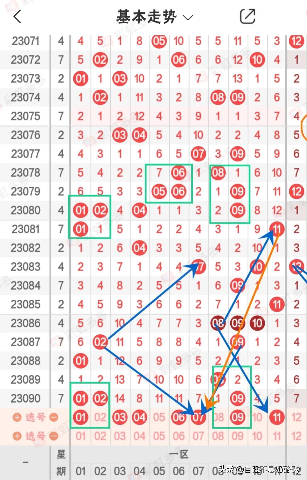 最新新浪双色球基本走势图，解读与预测