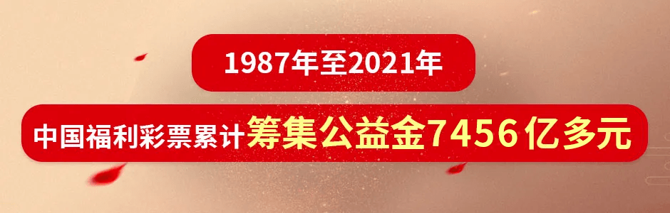 福利彩票双色球2023013，梦想与希望的交汇点