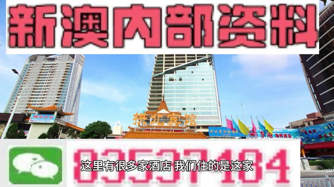 探秘新澳，最新资料揭晓与夜晚出冷汗的背后新澳今天最新资料晚上出冷汗2888
