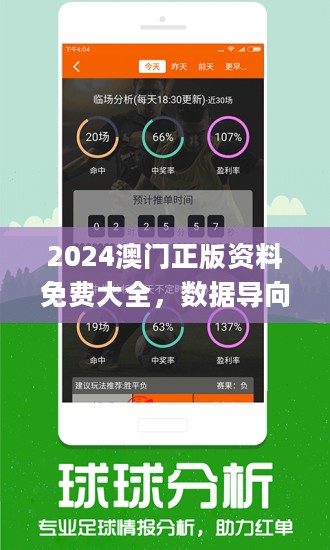 2046年新奥开奖结果查询，数字时代的幸运之谜2024新奥开奖结果查询今天
