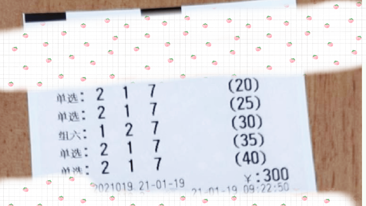 探索新澳门六开彩2019年及未来展望，数字背后的机遇与挑战新澳门今晚开奖结果查询