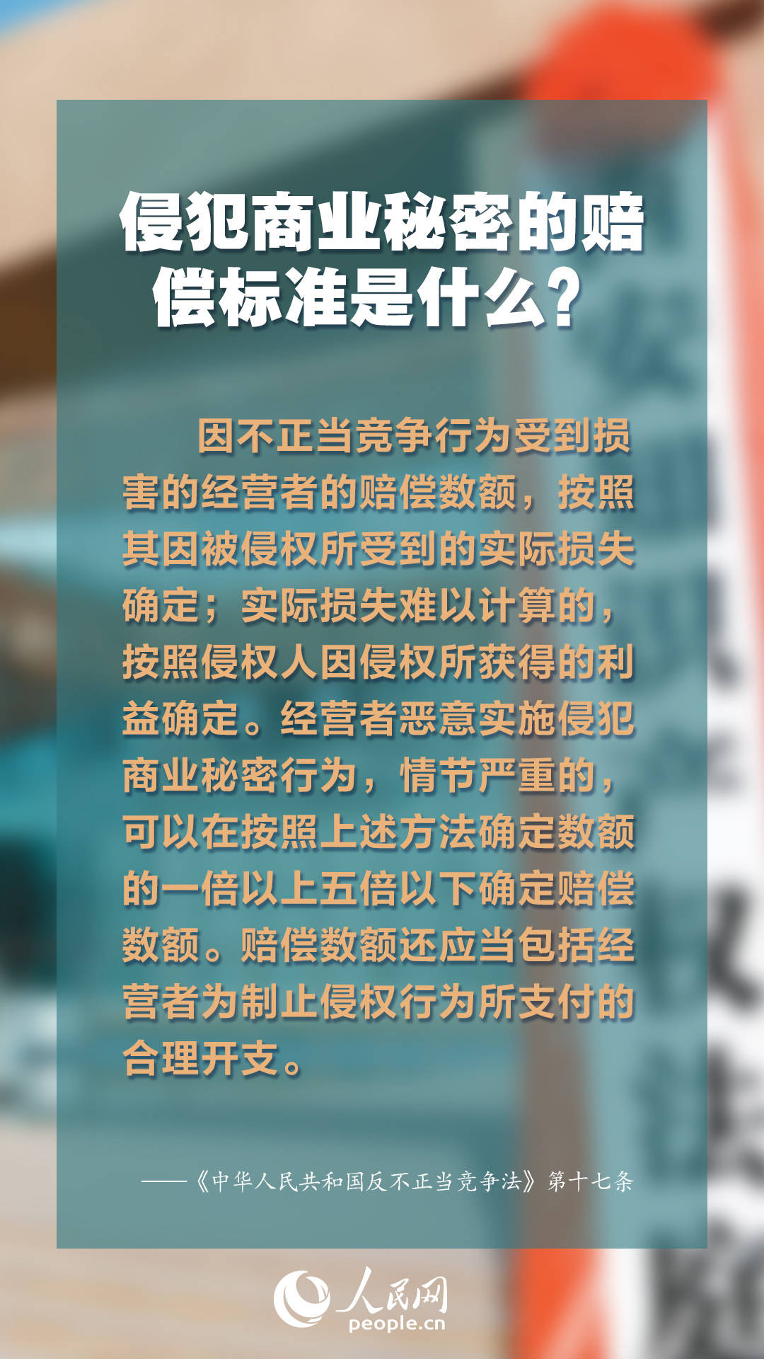 49图库免费资料大全，解锁创意与知识的宝藏49图库免费资料大全在线查看