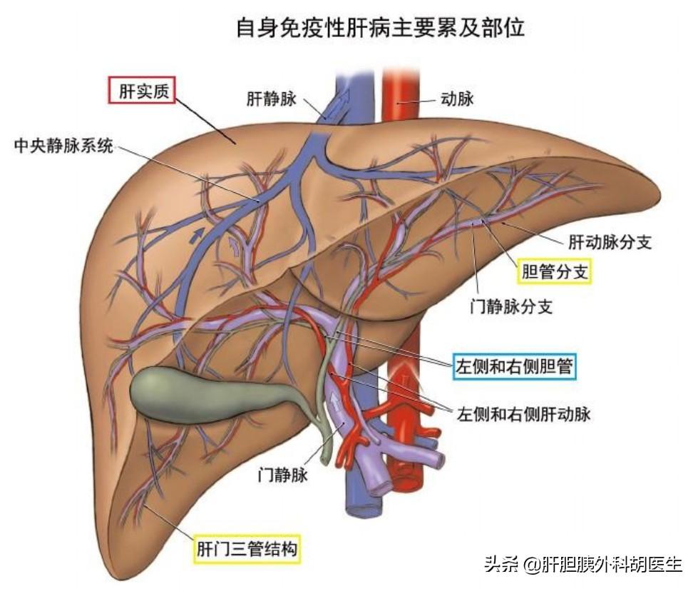 2019年六盒宝典资料大全，解锁游戏攻略与策略的终极指南2020年六盒宝典资料免费大全