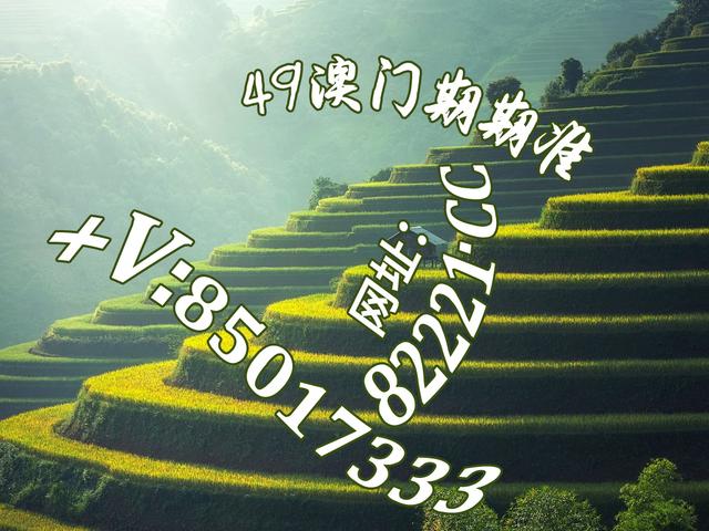 探秘白姐图库，数字时代的视觉盛宴与创意源泉白姐图库彩图全年资料