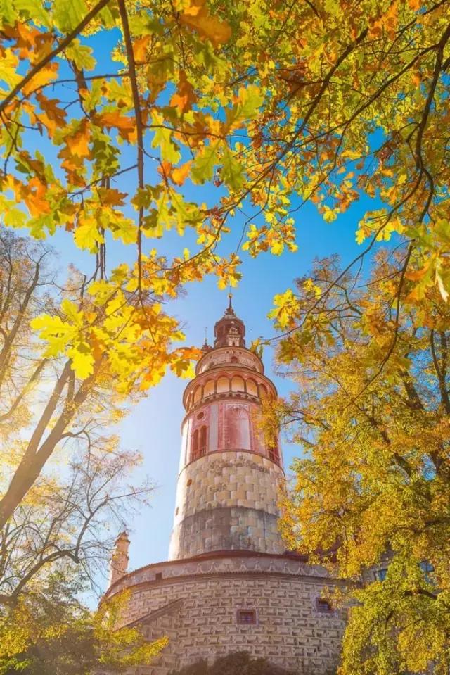 探索捷克文化新视界，揭秘2019年最新版的Czech Forum 官方网址，解锁深度交流平台捷克论坛怎么上不去了