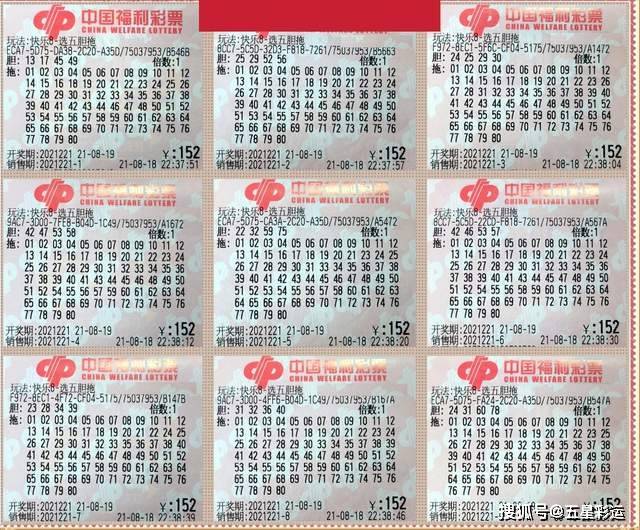 探索香港最近15期彩票开奖号码的奥秘香港最近15期开奖号码是多少手机看更方便