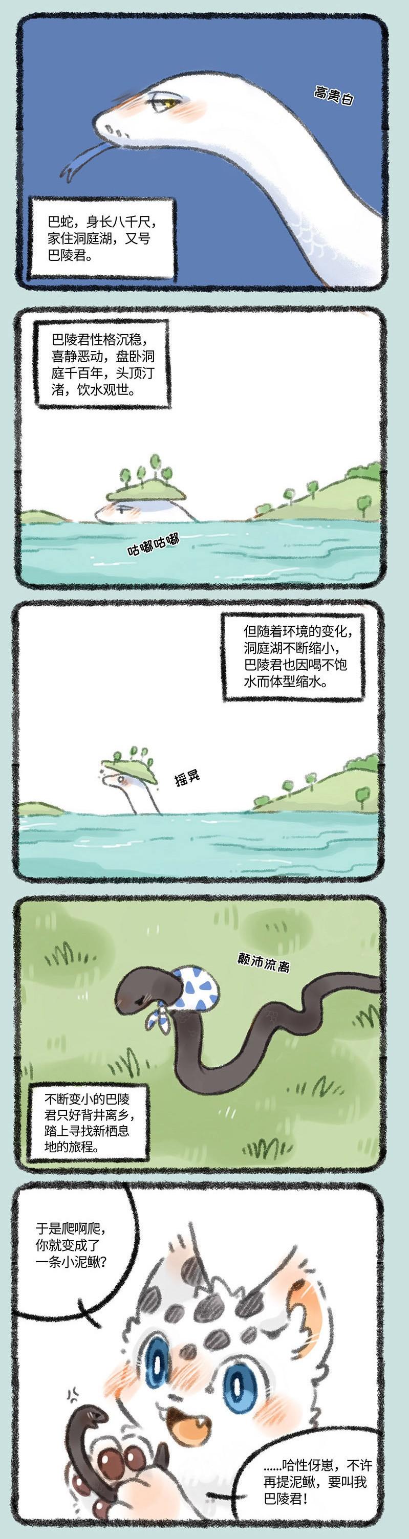 探索香港今期开奖结果资料，揭秘背后的故事与影响香港今期开奖结果资料图片大全第二十期四不像