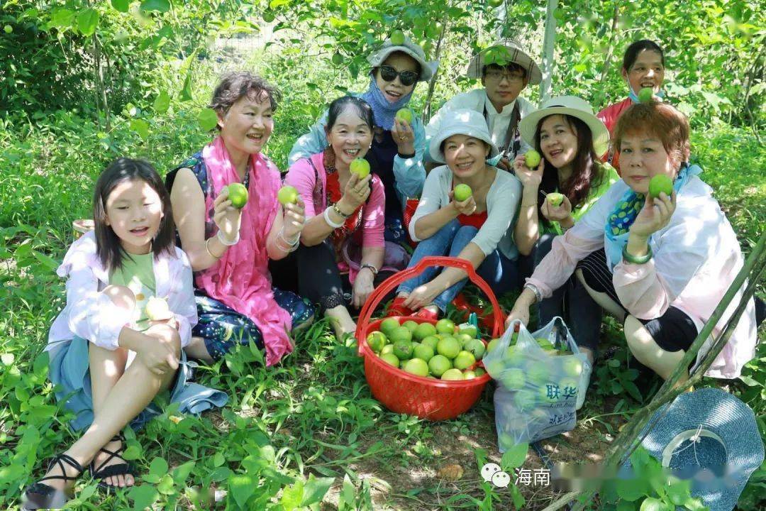 水果奶奶论坛，共享健康与快乐的绿色园地水果奶奶论坛第二论坛欢迎阁下