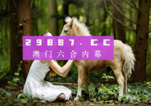 澳门六开奖结果204年回顾与未来展望，透明化查询，理性参与查看澳门开奖全部结果是