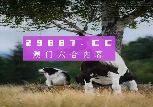 澳门今期特马四不像,探索多元文化与现代融合的独特魅力