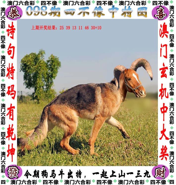 澳门今期特马四不像,探索独特魅力与文化交融的奇妙之旅