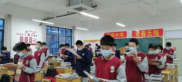 免费公开的二四六资料大全，解锁知识与信息的宝库二四六免费资料大全一百度