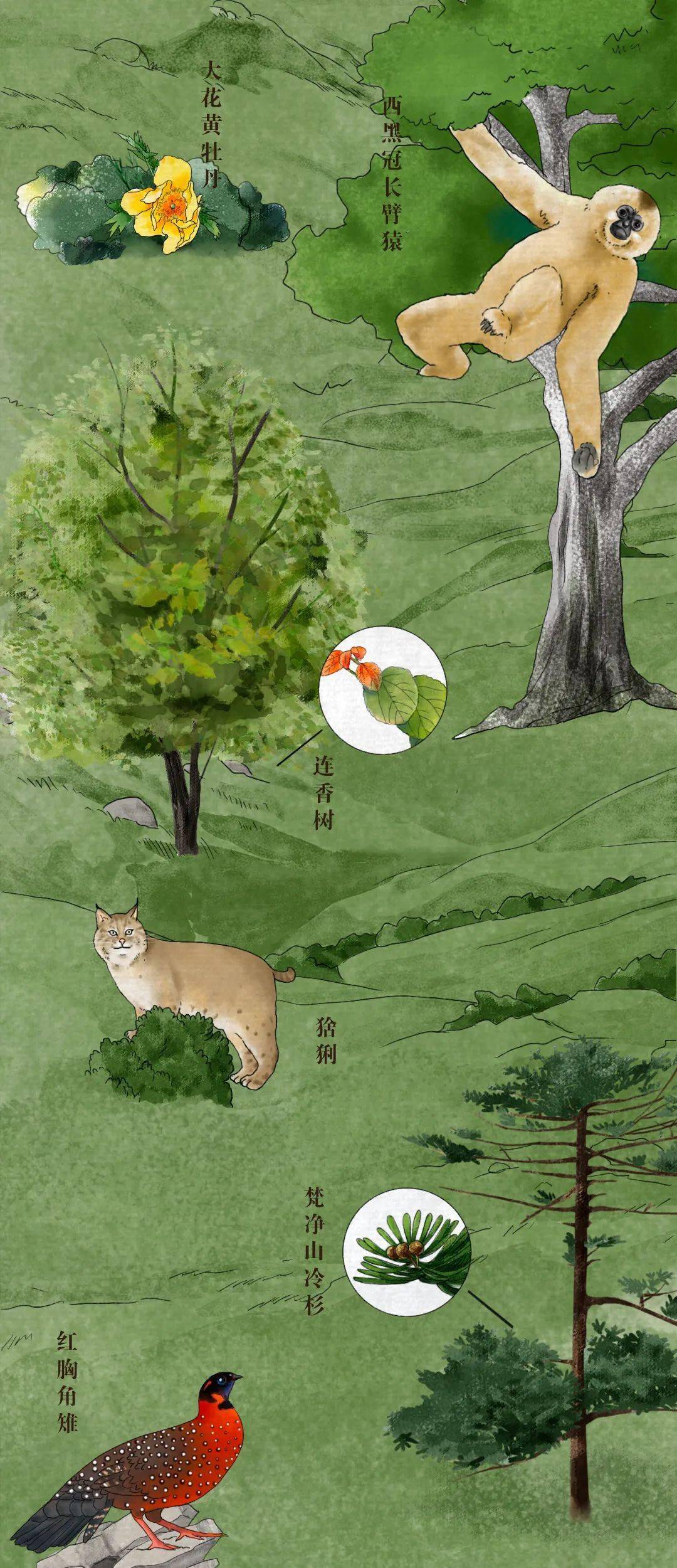 正版与四不像的奇妙碰撞—探索数字时代的版权新生态正版四不像吧今晚开什么号码