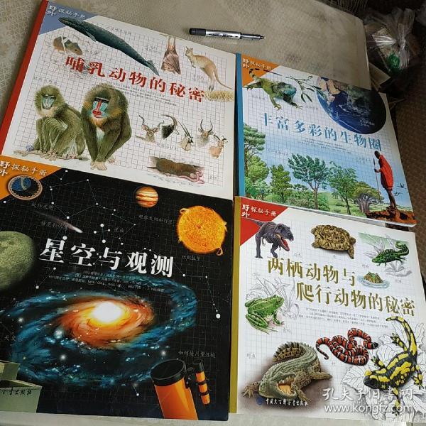探秘香港6合开彩，揭晓中奖号码的奥秘与查询指南香港6合开彩开奖结果开奖号码查询表格