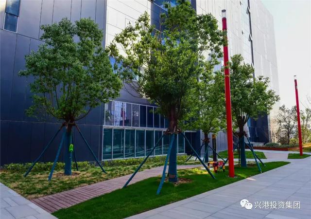 探秘香港600尺住宅，空间的艺术与生活的智慧香港600尺的房子是多少平方