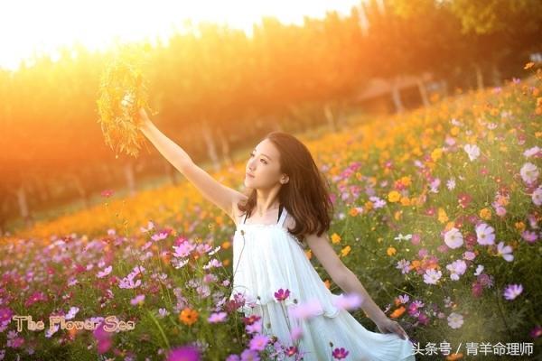 香港6合开奖结果走势分析图2020年8月9日生肖相冲相克