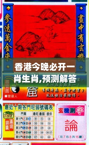 2048年香港6合13生肖表，最新图片详解与解析